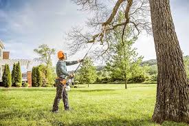 Best Landscape Design and Installation  in Ben Bolt, TX